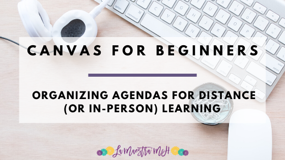 Canvas & Distance Learning: How do I organize it?